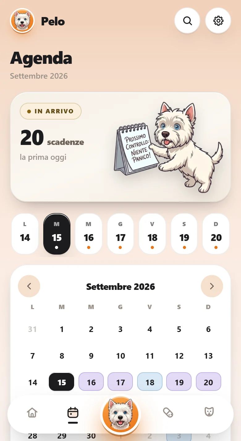 L'agenda del mese con le scadenze in arrivo