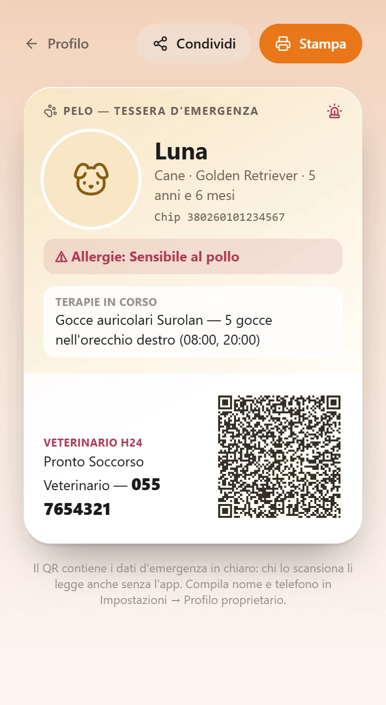 La tessera d'emergenza di Luna, con il codice QR